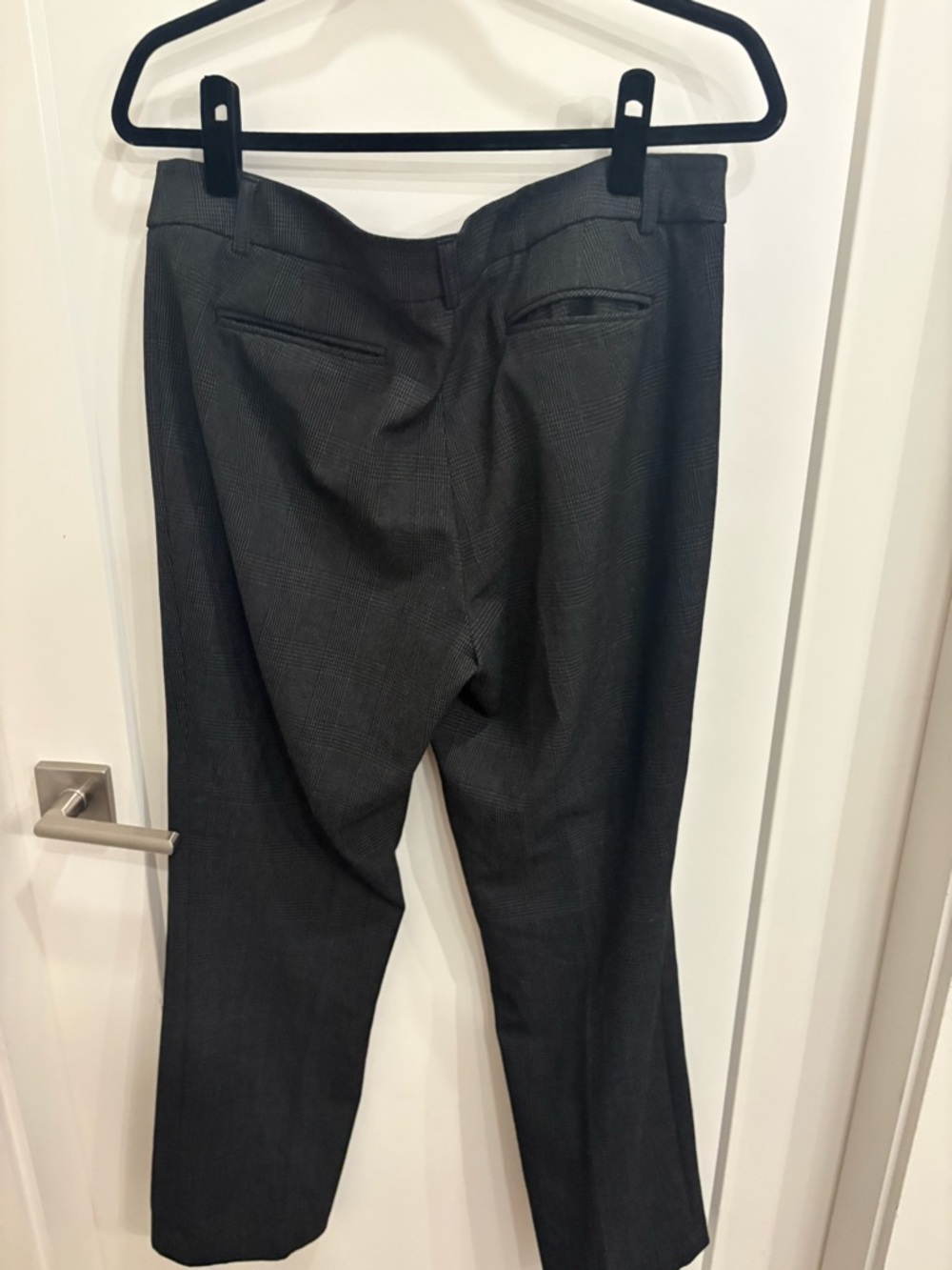 HILARY RADLEY STRAIGHT LEG DRESS PANTS - Picture 7 of 8